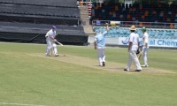 Manuka Sixes