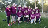 Parliamentary State of Origin 